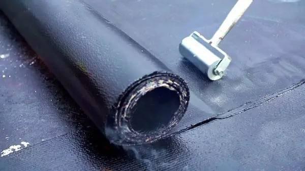 1617673583629993vGo2.jpg 2.jpg